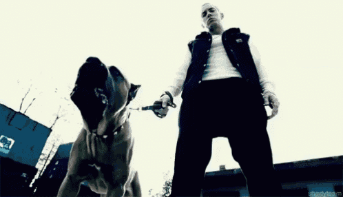 a man standing next to a large dog on a leash with the words shadyteam written below him
