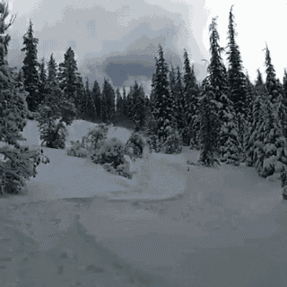 a snowy forest with trees covered in snow and a cloudy sky