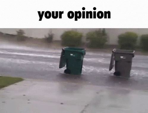 Opinion Your Opinion GIF - Opinion Your Opinion Trash GIFs