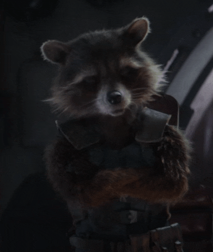 a raccoon with his arms crossed is wearing a vest that says ' rocket ' on it
