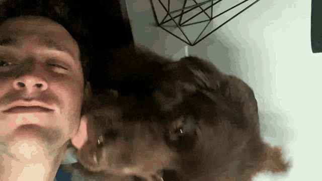 a man with his eyes closed and a dog laying on his head