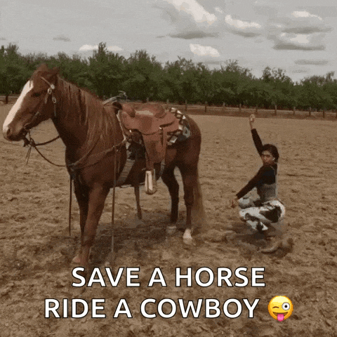 a person kneeling next to a horse with the words save a horse ride a cowboy written below them