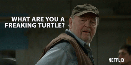 What Are You A Freaking Turtle Are You A Turtle GIF - What Are You A Freaking Turtle Freaking Turtle Are You A Turtle GIFs