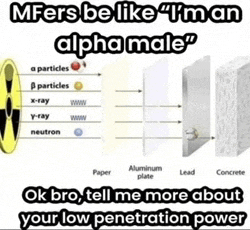 a diagram showing the layers of an alpha male says " mfers be like " i 'm an alpha male "