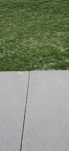 a grassy area with a sidewalk in the foreground and a concrete sidewalk in the background