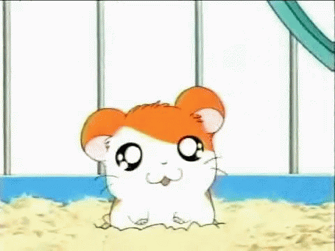 Hamster Cute GIF - Hamster Cute Happy GIFs