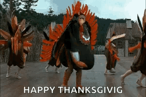 Turkey Thanksgiving GIF