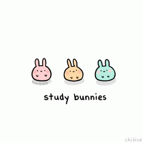 Study Bunnies GIF - Study Bunnies Positive GIFs