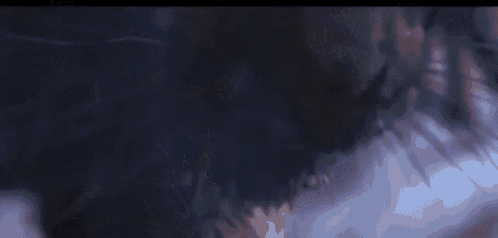 Tiger Wolf GIF - Tiger Wolf Fight GIFs