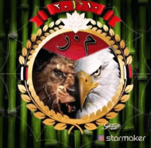 a picture of a lion and an eagle in a circle on a green background .