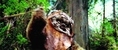 Wicket Ohh My GIF - Wicket Ohh My Failed GIFs
