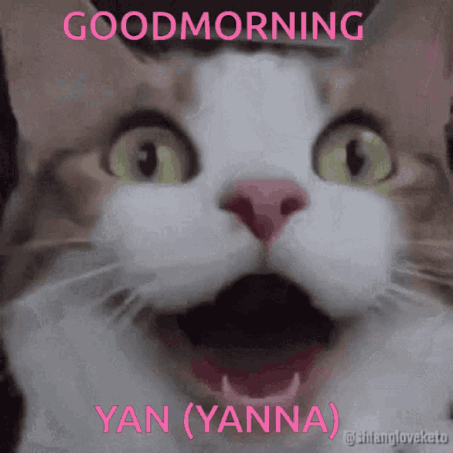 Goodmorning Gm GIF - Goodmorning Gm Yanna GIFs