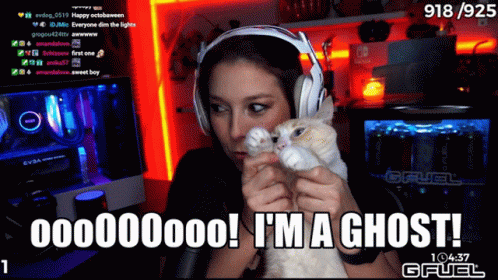 Ghost Cat Ghost GIF - Ghost Cat Ghost Halloween GIFs