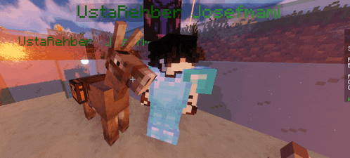 a screenshot of a minecraft game with a donkey and a person named usta