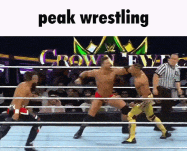 wrestlers in a ring with the words peak wrestling on the top