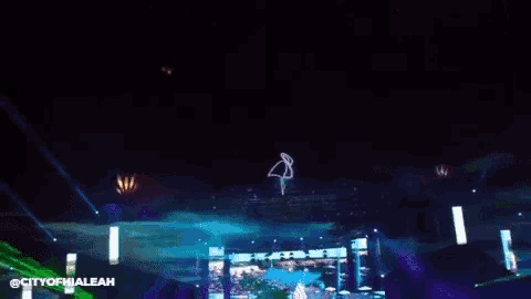 a flamingo is projected on a stage at night
