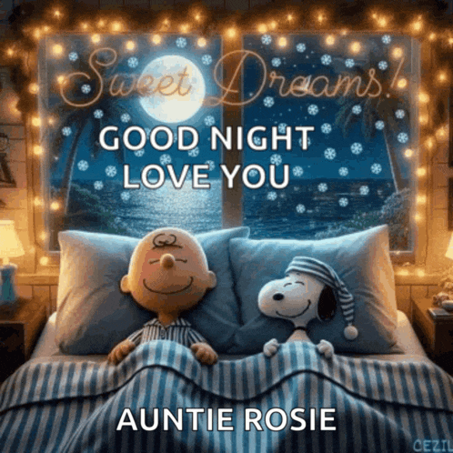 a picture of snoopy and charlie brown in bed with the words good night love you