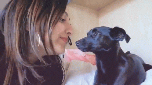 Kissing Dog Debora Spiga GIF - Kissing Dog Debora Spiga Debby Arts GIFs