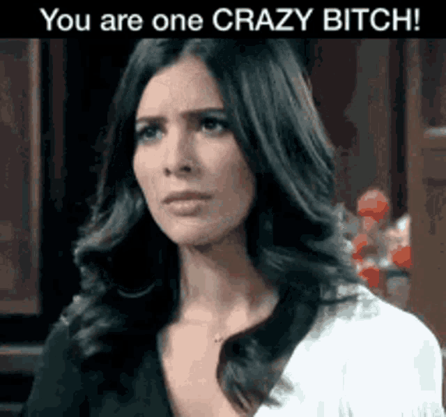 You Are A Crazy Bitch Your Crazy GIF - You Are A Crazy Bitch Your Crazy GIFs