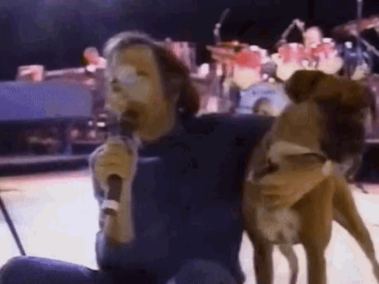 Neil Diamond Dog GIF - Neil Diamond Dog Singing GIFs