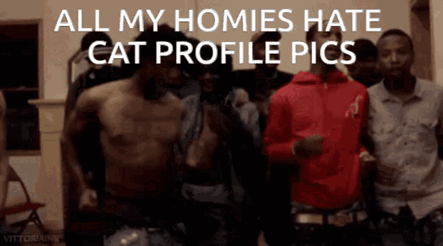 a group of men are standing in a room with the caption " all my homies hate cat profile pics " above them