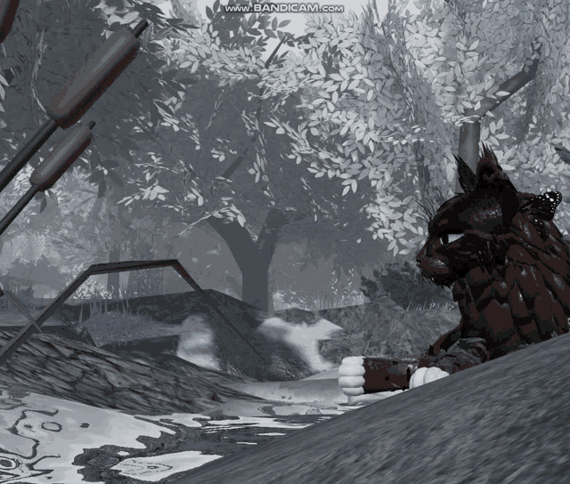 a video of a cat in a snowy forest is displayed on bandicam.com