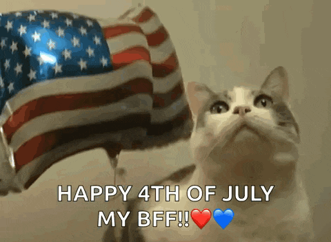 a cat looking up at an american flag balloon with the words happy 4th of july my bff