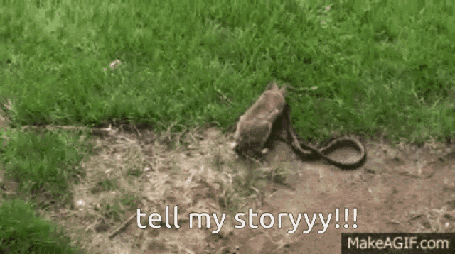 a picture of a snake with the words tell my storyyy written below it
