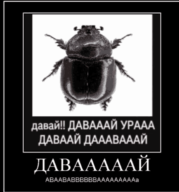 a black beetle is on a black and white poster with russian writing on it .