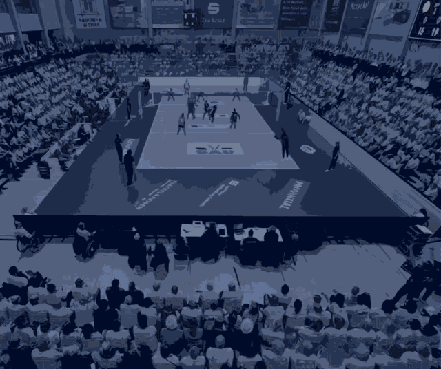 a basketball player wearing a palmberg jersey stands in front of a crowd of people