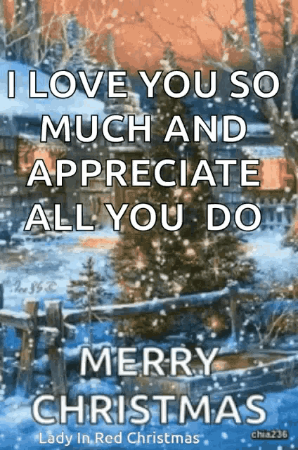 i love you so much and appreciate all you do merry christmas by lady in red christmas