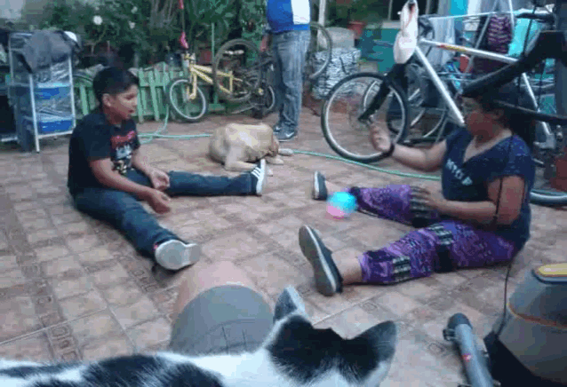 a woman in a witch hat sits on the ground playing with a cat