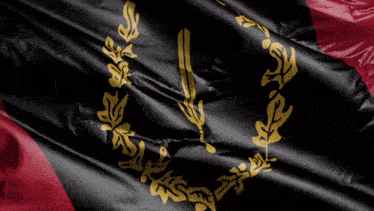 a black and red flag with a gold laurel wreath and a sword
