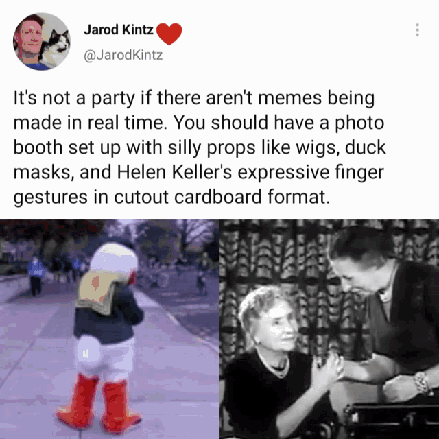 a picture of a duck with a caption that says " it 's not a party "