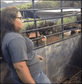 a woman in a blue shirt is standing in front of a fence looking at a cow ..