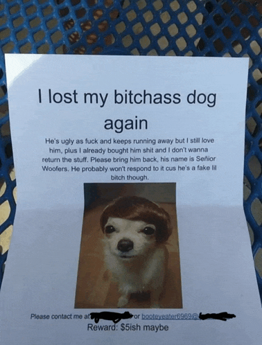 a paper that says i lost my bitchass dog again with a picture of a dog