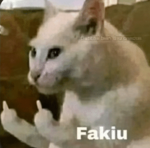 Fakiu Cat GIF - Fakiu Cat Fakiu Cat GIFs