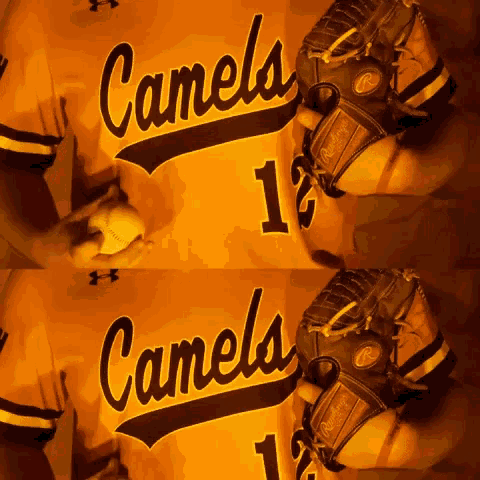 Tyson Messer Campbell Baseball GIF - Tyson Messer Campbell Baseball Roll Humps GIFs