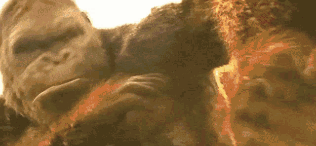 a close up of a gorilla with its mouth open and its claws .