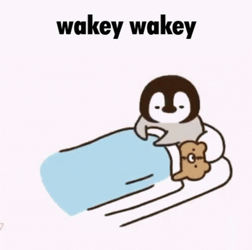 Wakey Wakey Penguin GIF - Wakey Wakey Penguin Wake Up GIFs