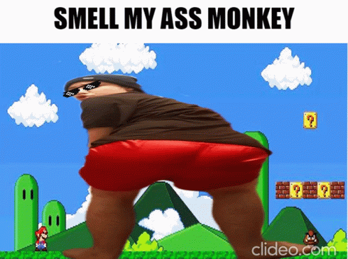 Monkey Damoney GIF - Monkey Damoney Smell GIFs