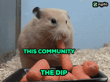 a picture of a hamster eating carrots that says this community the dip