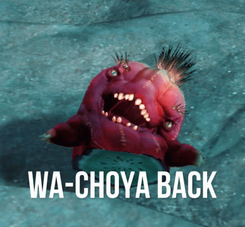 Choya Guild Wars2 GIF - Choya Guild Wars2 Watch Your Back GIFs