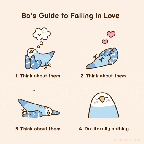 bo 's guide to falling in love is written on a poster