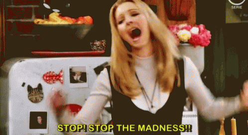 Friends Phoebe GIF - Friends Phoebe Stop The Madness GIFs