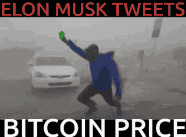 elon musk tweets bitcoin price with a man holding up a green dollar sign