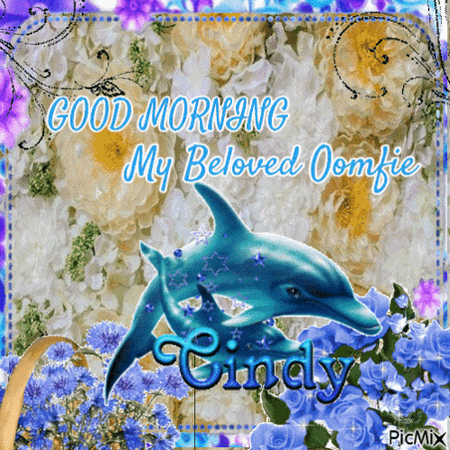 a picture of a dolphin says good morning my beloved omfie cindy