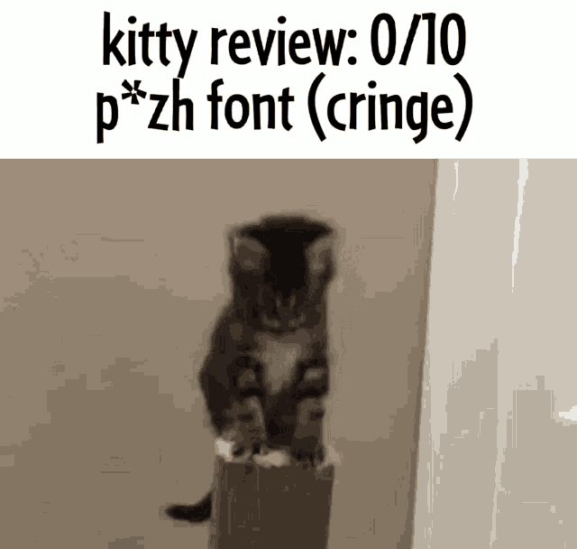 Kitty Review Pvzh GIF - Kitty Review Pvzh GIFs