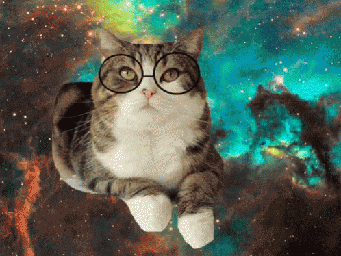 Geek Blinking GIF - Geek Blinking Space Cats GIFs