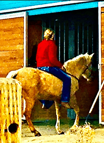 a person in a red jacket is riding a brown horse